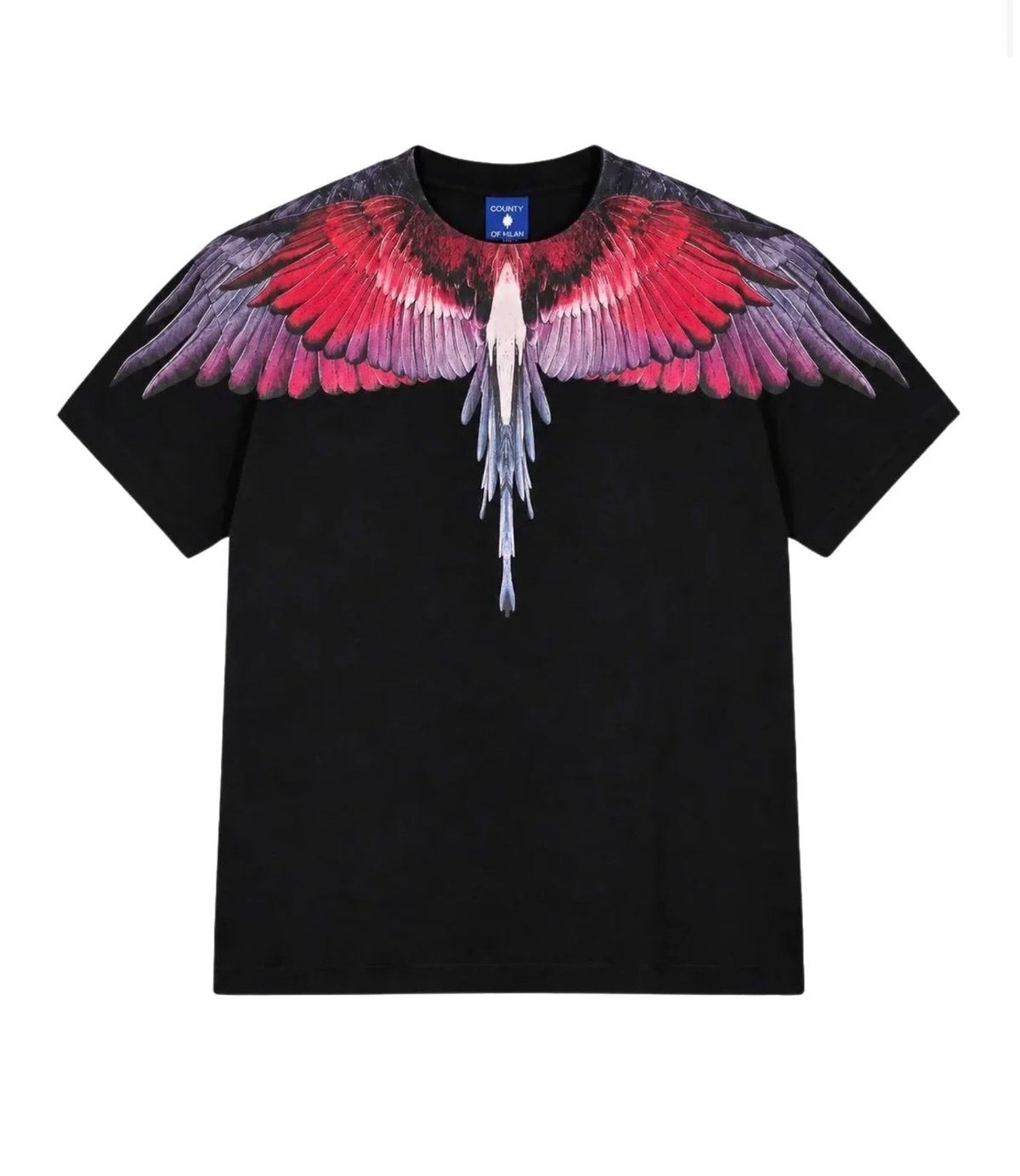 T-shirt e polo bambino - County of Milan