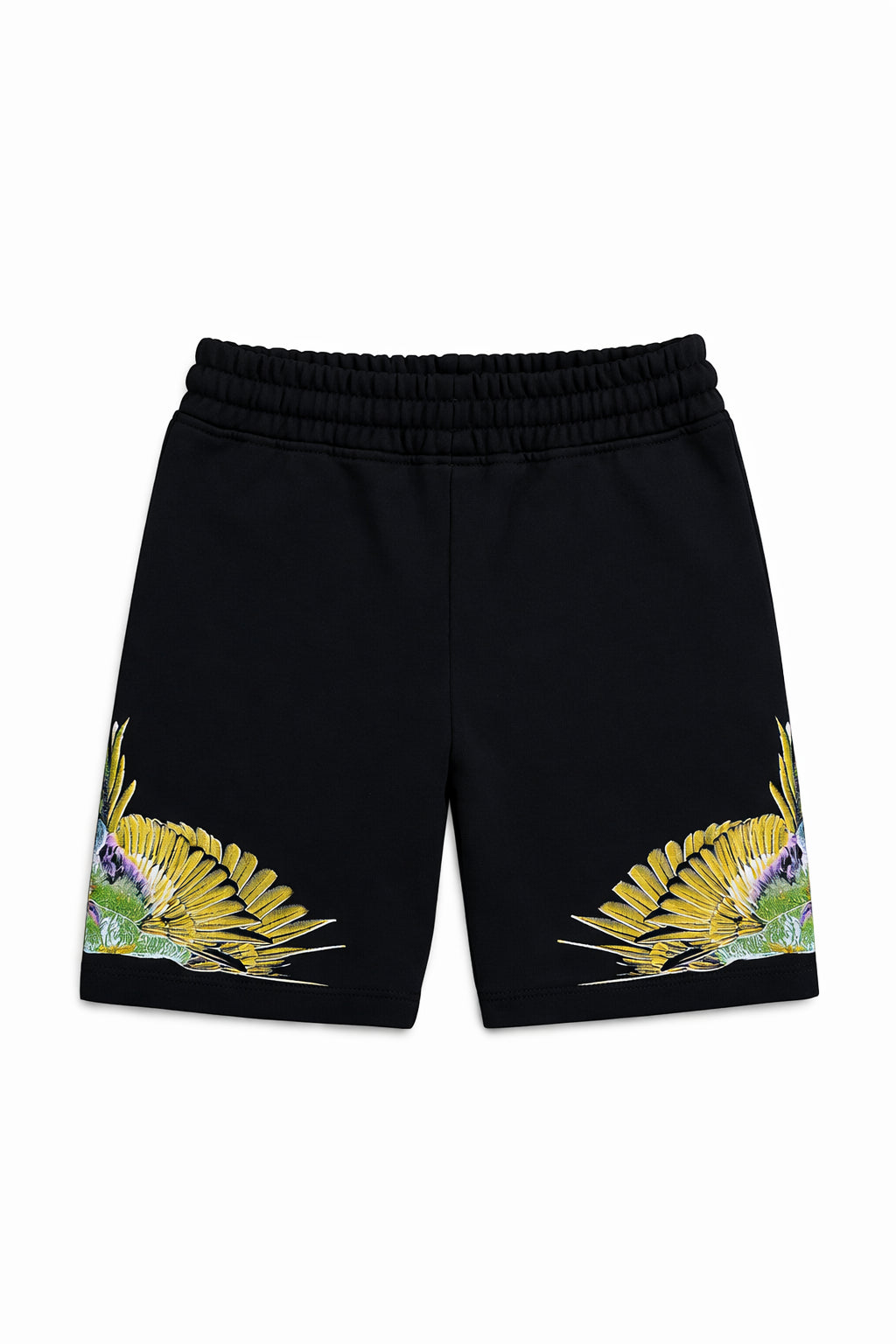 Bermuda bambino - County of Milan