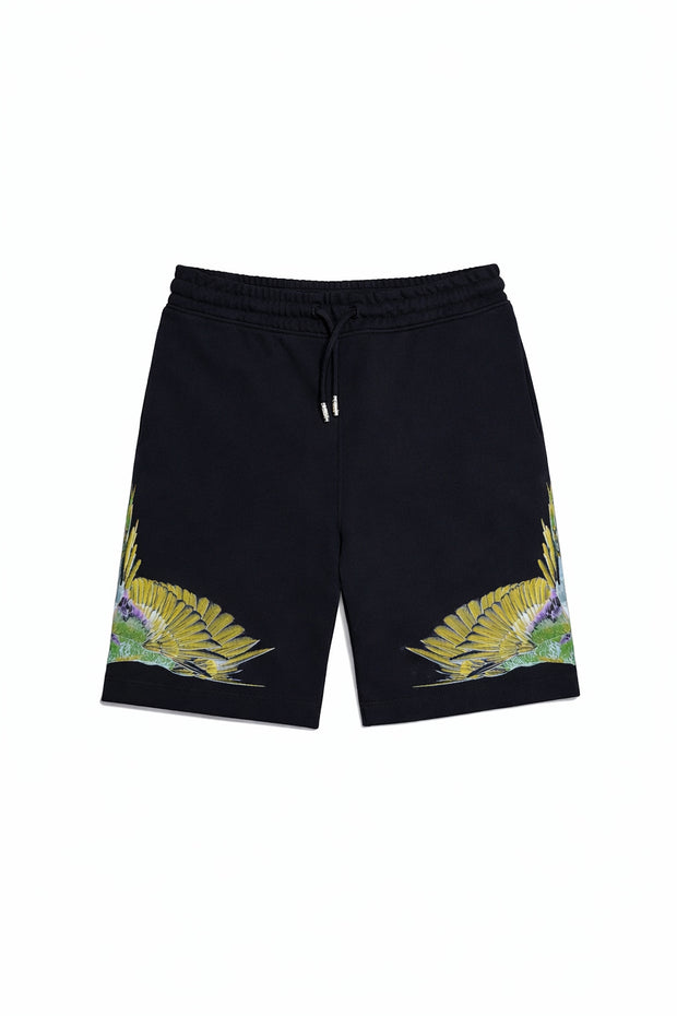 Bermuda bambino - County of Milan