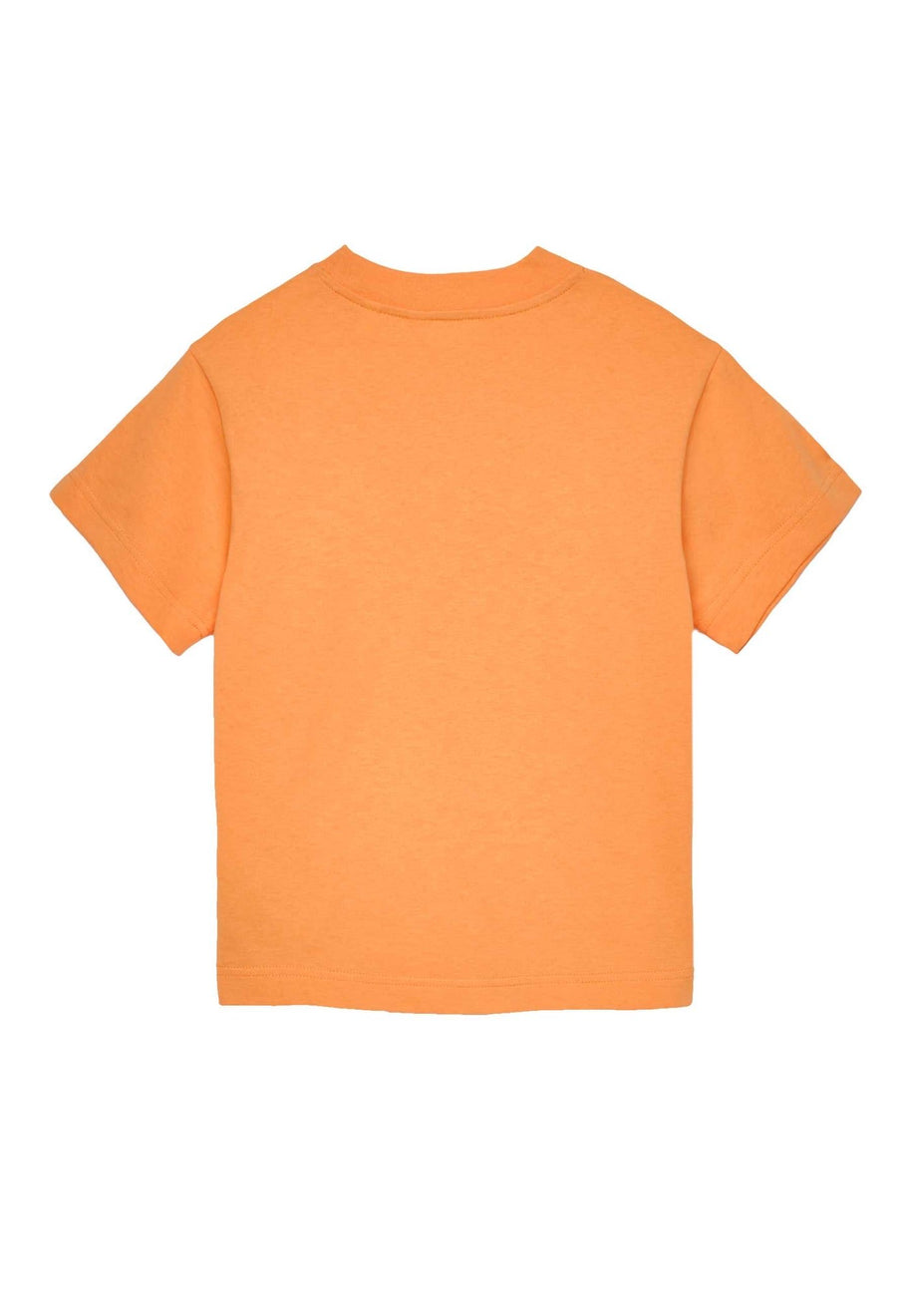 T-shirt e polo bambino - palm angels
