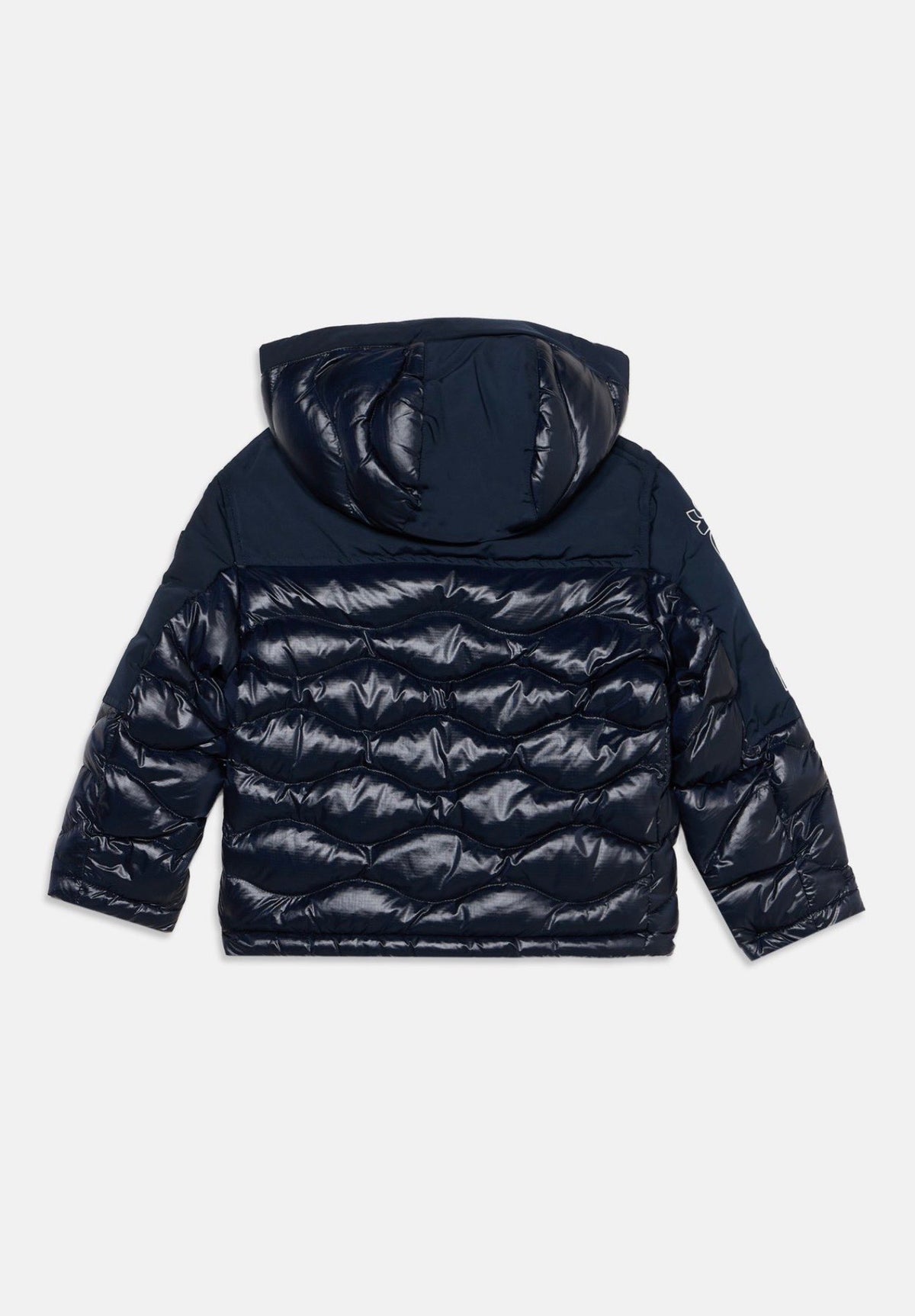 Ferwood junior - giubbino bambino - Blauer